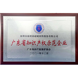 廣(guang)東省知識産(chan)權示範企(qi)業(ye)